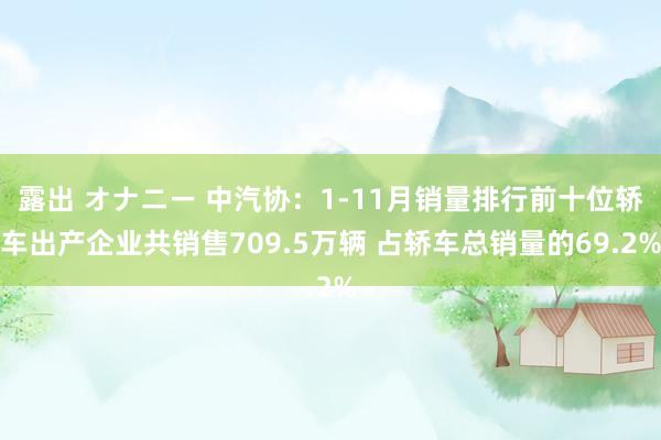露出 オナニー 中汽协：1-11月销量排行前十位轿车出产企业共销售709.5万辆 占轿车总销量的69.2%