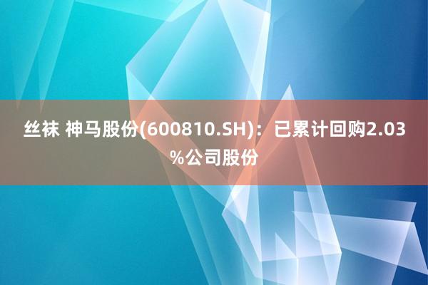 丝袜 神马股份(600810.SH)：已累计回购2.03%公司股份