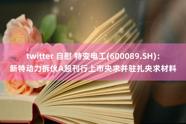 twitter 自慰 特变电工(600089.SH)：新特动力拆伙A股刊行上市央求并驻扎央求材料