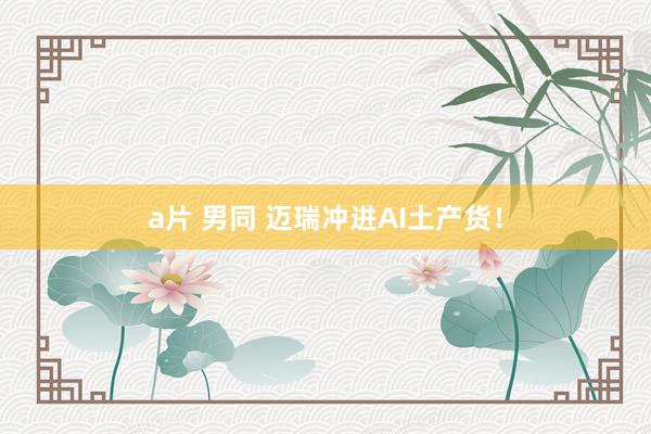 a片 男同 迈瑞冲进AI土产货！