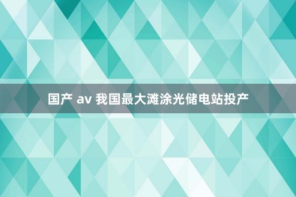 国产 av 我国最大滩涂光储电站投产