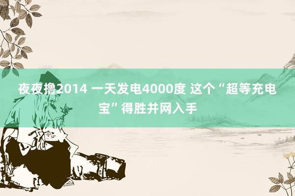 夜夜撸2014 一天发电4000度 这个“超等充电宝”得胜并网入手