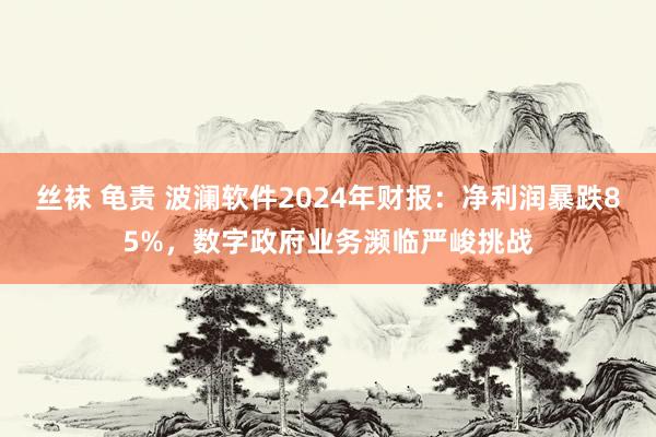 丝袜 龟责 波澜软件2024年财报：净利润暴跌85%，数字政府业务濒临严峻挑战