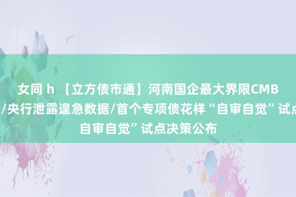 女同 h 【立方债市通】河南国企最大界限CMBS居品刊行/央行泄露遑急数据/首个专项债花样“自审自觉”试点决策公布