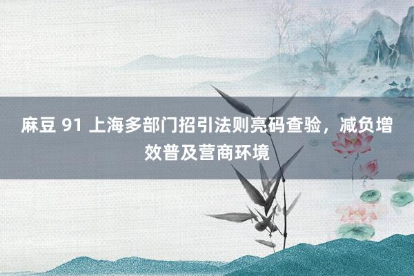 麻豆 91 上海多部门招引法则亮码查验，减负增效普及营商环境
