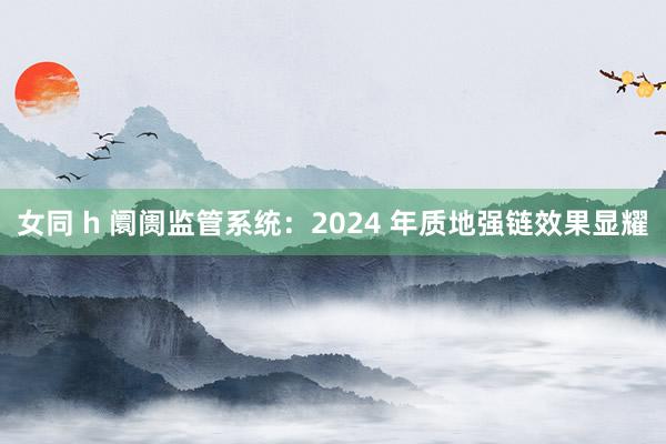 女同 h 阛阓监管系统：2024 年质地强链效果显耀