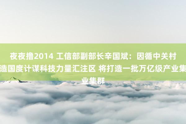 夜夜撸2014 工信部副部长辛国斌：因循中关村建造国度计谋科技力量汇注区 将打造一批万亿级产业集群