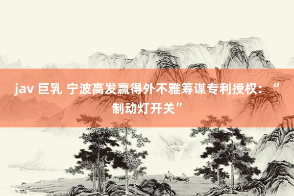 jav 巨乳 宁波高发赢得外不雅筹谋专利授权：“制动灯开关”