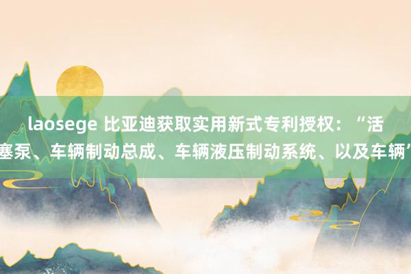 laosege 比亚迪获取实用新式专利授权：“活塞泵、车辆制动总成、车辆液压制动系统、以及车辆”