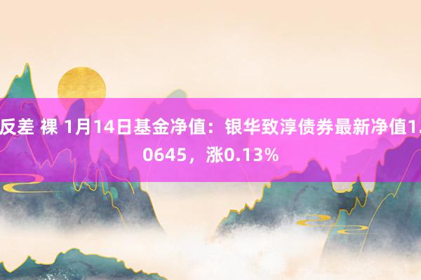 反差 裸 1月14日基金净值：银华致淳债券最新净值1.0645，涨0.13%