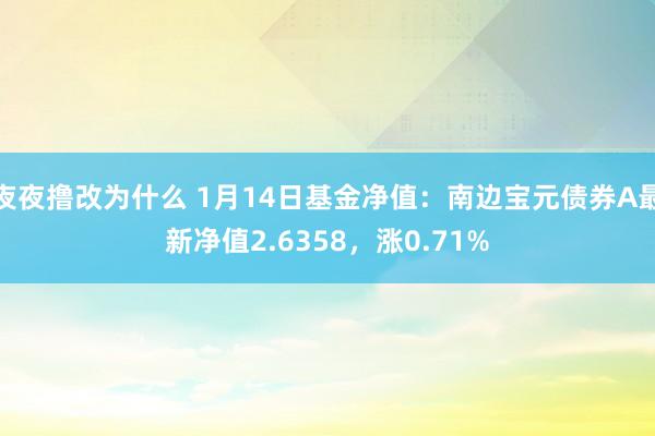 夜夜撸改为什么 1月14日基金净值：南边宝元债券A最新净值2.6358，涨0.71%