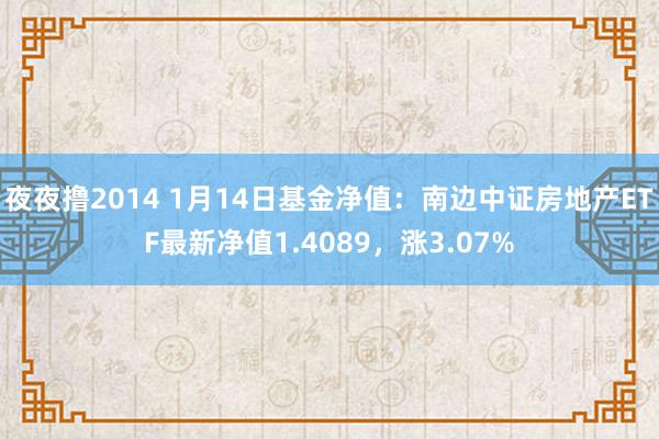 夜夜撸2014 1月14日基金净值：南边中证房地产ETF最新净值1.4089，涨3.07%