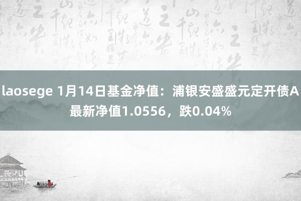 laosege 1月14日基金净值：浦银安盛盛元定开债A最新净值1.0556，跌0.04%