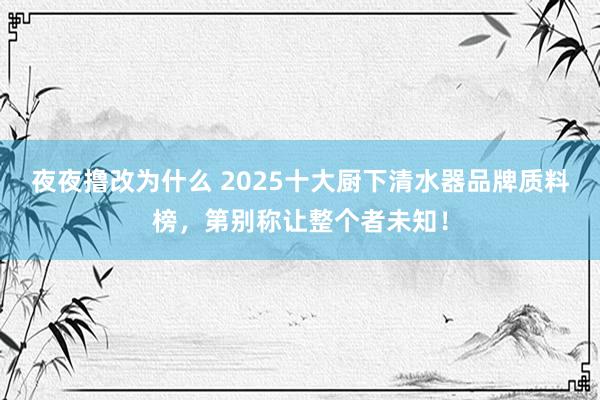夜夜撸改为什么 2025十大厨下清水器品牌质料榜，第别称让整个者未知！
