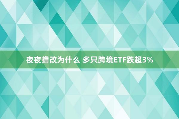 夜夜撸改为什么 多只跨境ETF跌超3%