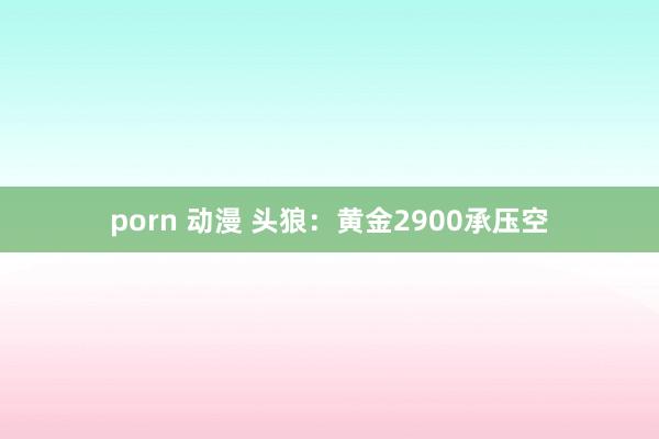 porn 动漫 头狼：黄金2900承压空