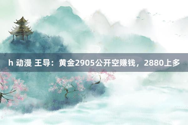 h 动漫 王导：黄金2905公开空赚钱，2880上多