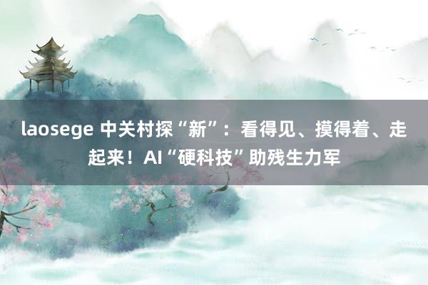 laosege 中关村探“新”：看得见、摸得着、走起来！AI“硬科技”助残生力军