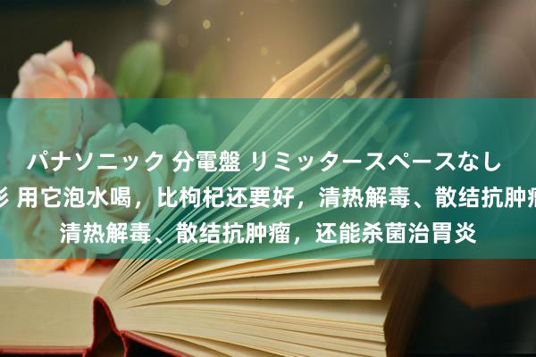 パナソニック 分電盤 リミッタースペースなし 露出・半埋込両用形 用它泡水喝，比枸杞还要好，清热解毒、散结抗肿瘤，还能杀菌治胃炎