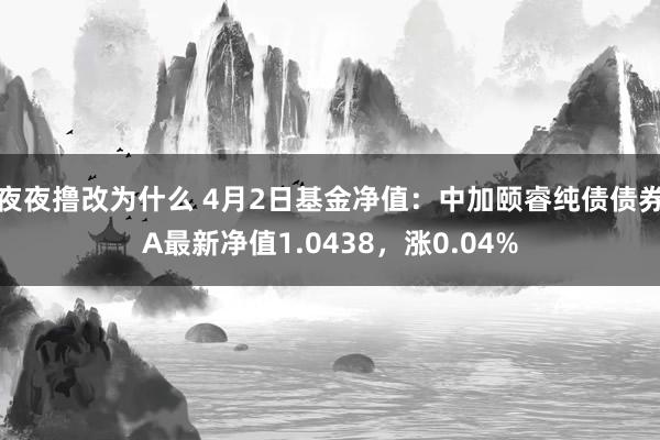 夜夜撸改为什么 4月2日基金净值：中加颐睿纯债债券A最新净值1.0438，涨0.04%