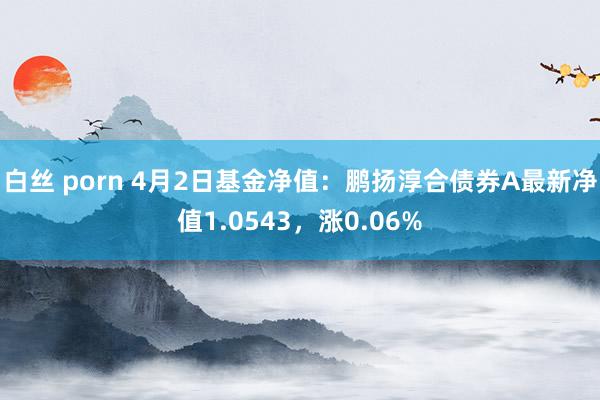 白丝 porn 4月2日基金净值：鹏扬淳合债券A最新净值1.0543，涨0.06%