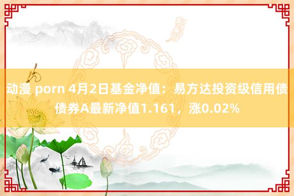 动漫 porn 4月2日基金净值：易方达投资级信用债债券A最新净值1.161，涨0.02%