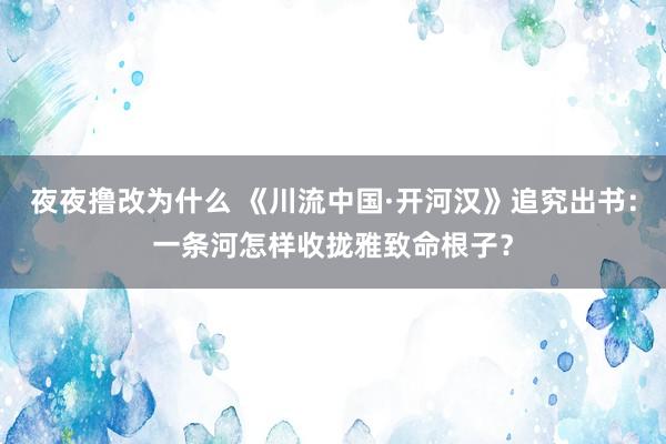 夜夜撸改为什么 《川流中国·开河汉》追究出书：一条河怎样收拢雅致命根子？
