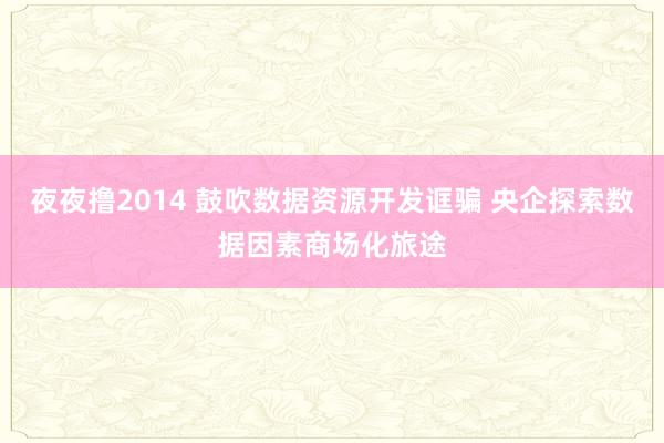 夜夜撸2014 鼓吹数据资源开发诓骗 央企探索数据因素商场化旅途