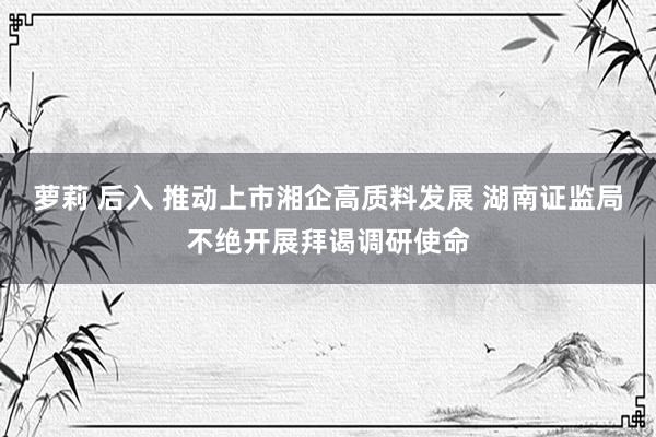 萝莉 后入 推动上市湘企高质料发展 湖南证监局不绝开展拜谒调研使命