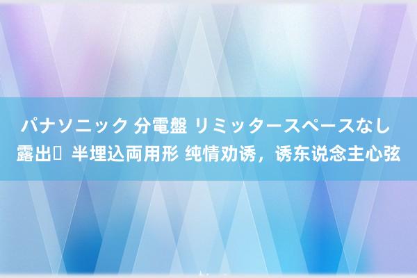 パナソニック 分電盤 リミッタースペースなし 露出・半埋込両用形 纯情劝诱，诱东说念主心弦