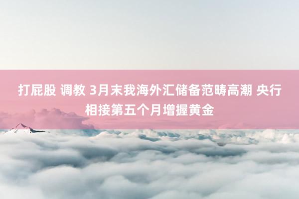 打屁股 调教 3月末我海外汇储备范畴高潮 央行相接第五个月增握黄金