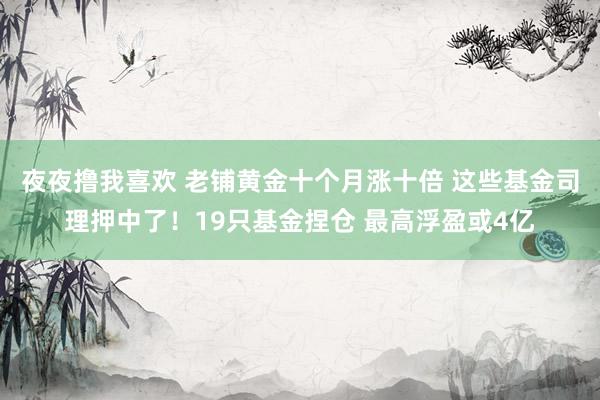 夜夜撸我喜欢 老铺黄金十个月涨十倍 这些基金司理押中了！19只基金捏仓 最高浮盈或4亿
