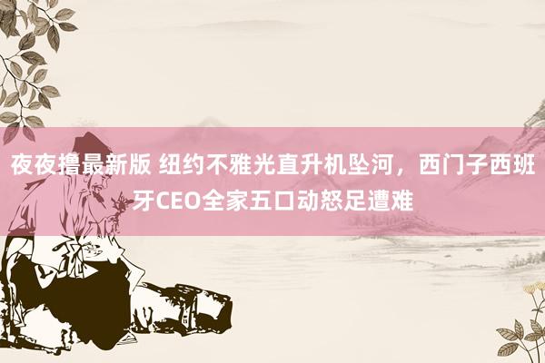 夜夜撸最新版 纽约不雅光直升机坠河，西门子西班牙CEO全家五口动怒足遭难