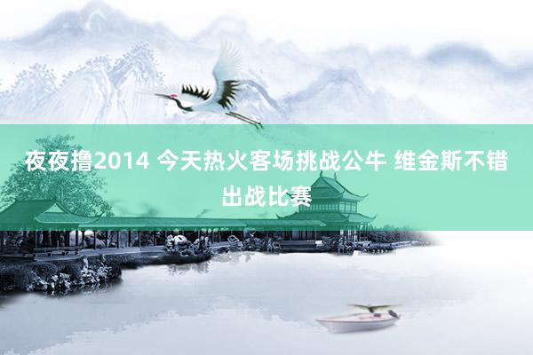 夜夜撸2014 今天热火客场挑战公牛 维金斯不错出战比赛