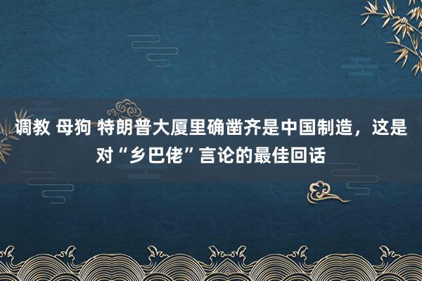 调教 母狗 特朗普大厦里确凿齐是中国制造，这是对“乡巴佬”言论的最佳回话