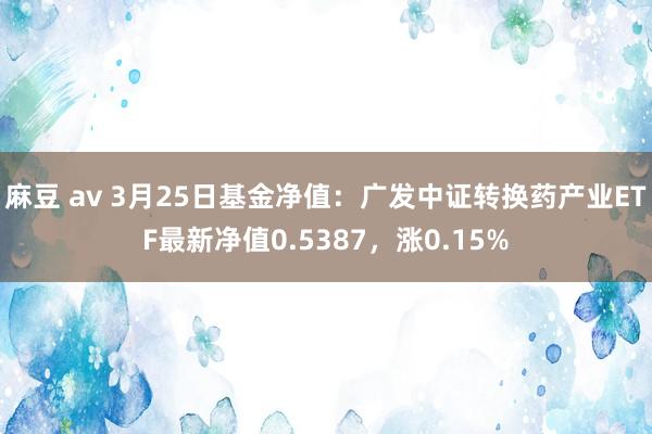 麻豆 av 3月25日基金净值：广发中证转换药产业ETF最新净值0.5387，涨0.15%