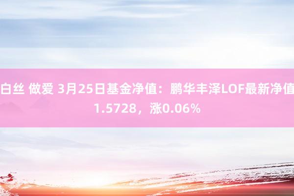 白丝 做爱 3月25日基金净值：鹏华丰泽LOF最新净值1.5728，涨0.06%