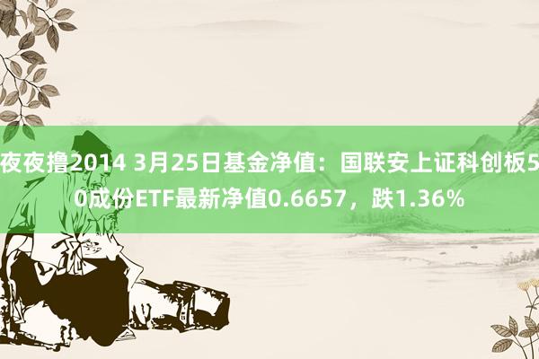夜夜撸2014 3月25日基金净值：国联安上证科创板50成份ETF最新净值0.6657，跌1.36%