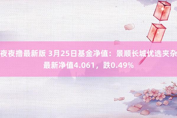 夜夜撸最新版 3月25日基金净值：景顺长城优选夹杂最新净值4.061，跌0.49%