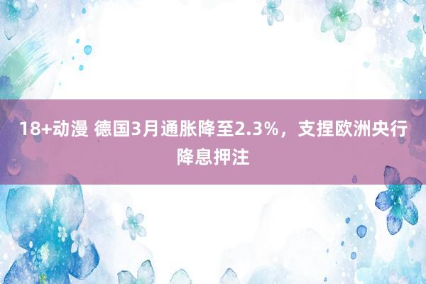 18+动漫 德国3月通胀降至2.3%，支捏欧洲央行降息押注