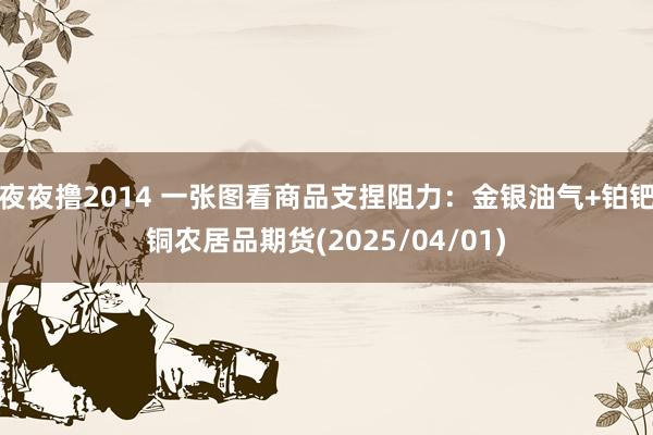 夜夜撸2014 一张图看商品支捏阻力：金银油气+铂钯铜农居品期货(2025/04/01)