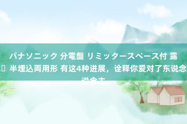 パナソニック 分電盤 リミッタースペース付 露出・半埋込両用形 有这4种进展，诠释你爱对了东说念主