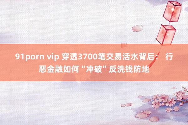 91porn vip 穿透3700笔交易活水背后： 行恶金融如何“冲破”反洗钱防地