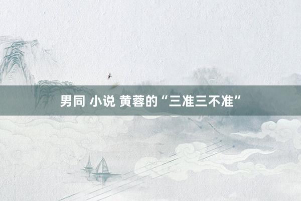 男同 小说 黄蓉的“三准三不准”