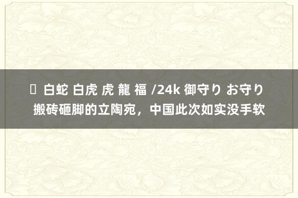 ✨白蛇 白虎 虎 龍 福 /24k 御守り お守り 搬砖砸脚的立陶宛，中国此次如实没手软
